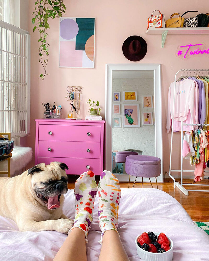 Фото: @honeyidressedthepug