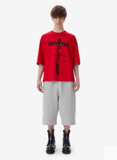 Футболка Cryptic Apologues Red FABLE
