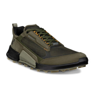 Кроссовки BIOM 2.1 X MOUNTAIN M