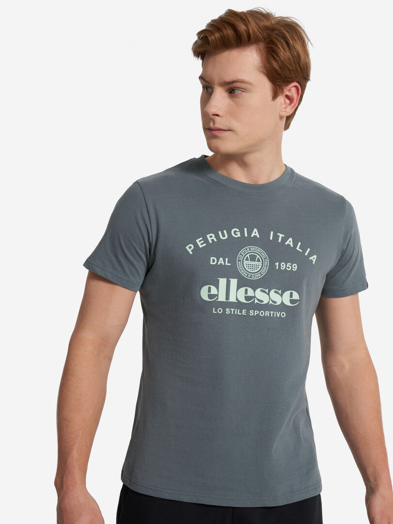 Футболка мужская Ellesse, Серый ELA251M832E0V-24 фото 1