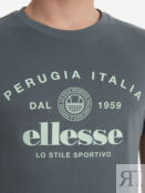 Футболка мужская Ellesse, Серый ELA251M832E0V-24 фото 5