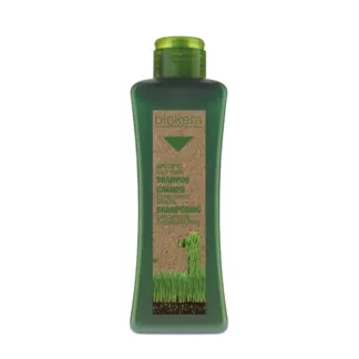 SALERM COSMETICS Шампунь для жирной кожи головы / BIOKERA 300 мл SALERM COS