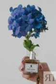 Парфюмерная вода женская Dreams Come True 2impress 15 мл фото 3