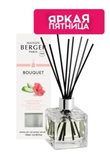 Аромадиффузор Гибискус и Яблоко Maison Berger Paris