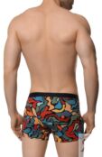 Хлопковые боксеры Derek Rose 8615/ABST001 фото 3