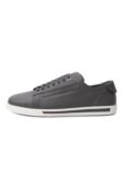 Кожаные кеды Stefano Ricci UV33_G6586/VD фото 4