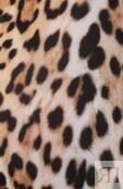 Легинсы Roberto Cavalli фото 5