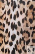 Комбинезон Roberto Cavalli фото 5